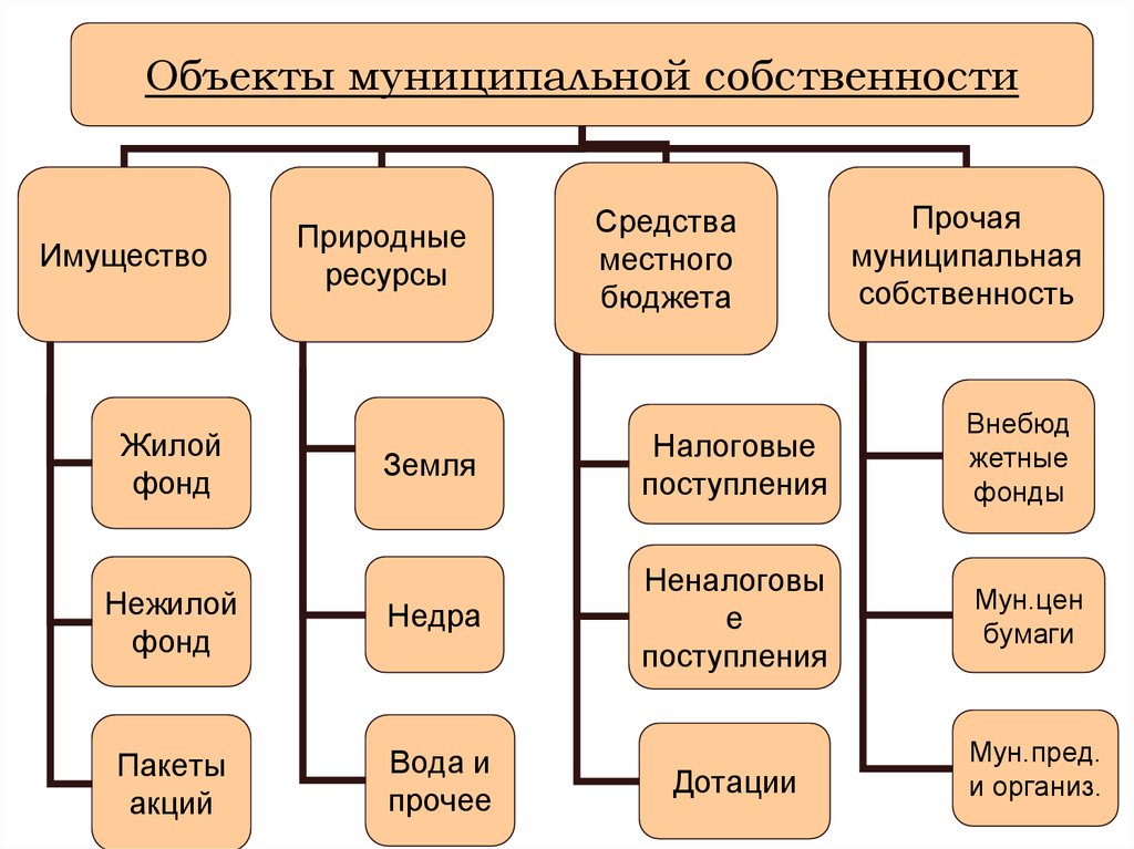 Виды муниципального хозяйства