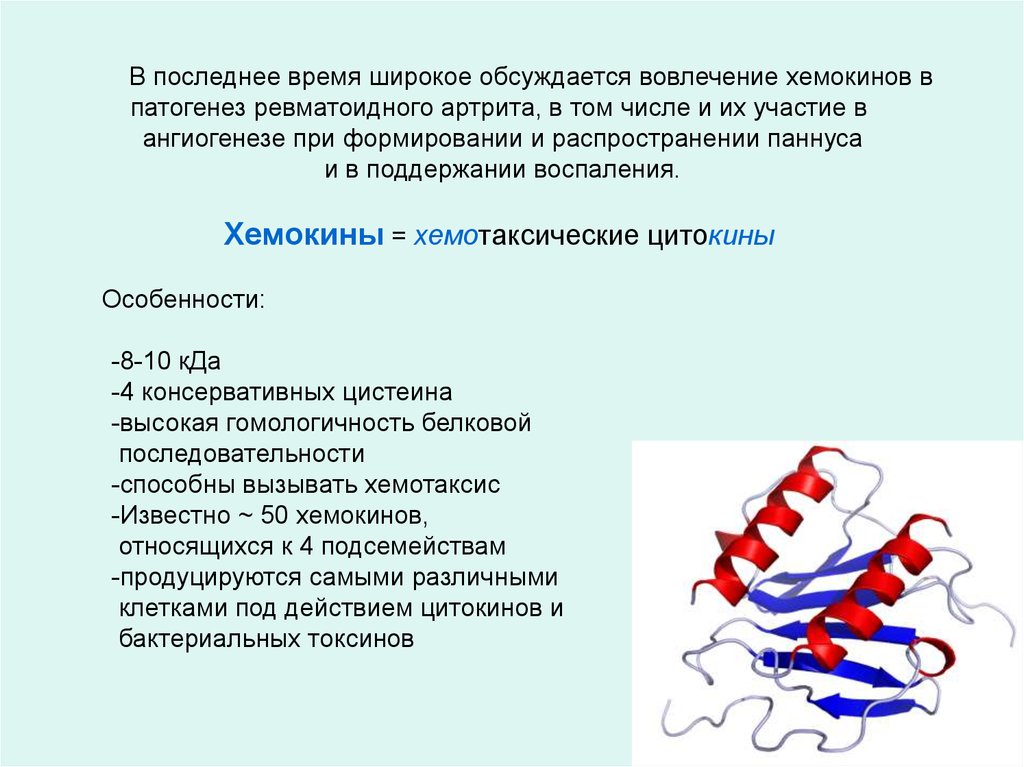 Хемокины. Рецепторы хемокинов. Хемокины иммунология классификация. Цитокины и хемокины. Хемотаксические факторы и хемокины.