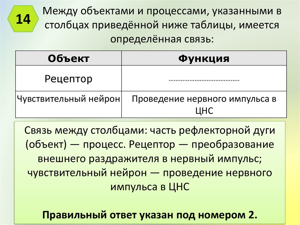 В приведенной ниже таблице. Между объектами и процессами. Объектами и процессами, указанными в Столбцах приведённой ниже. Между биологическими объектами и процессами в таблицы связь. Между объектами и процессами указанными в Столбцах приведённой.