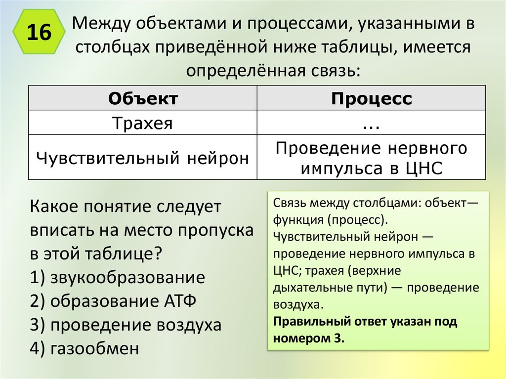 Какое понятие следует вписать. Между объектами и процессами указанными в Столбцах приведённой. Между биологическими объектами и процессами указанными. Между объектами и процессами указанными в Столбцах трахея. Между биологическими объектами и процессами указанными в Столбцах.