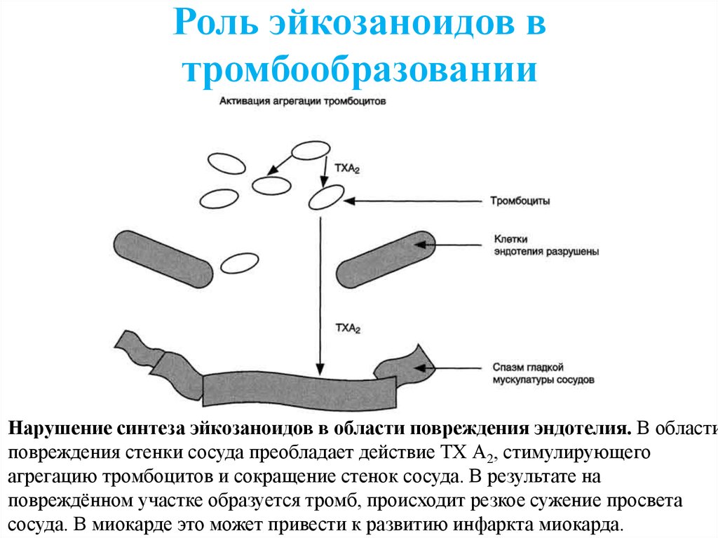 Массаж простаты инструкция