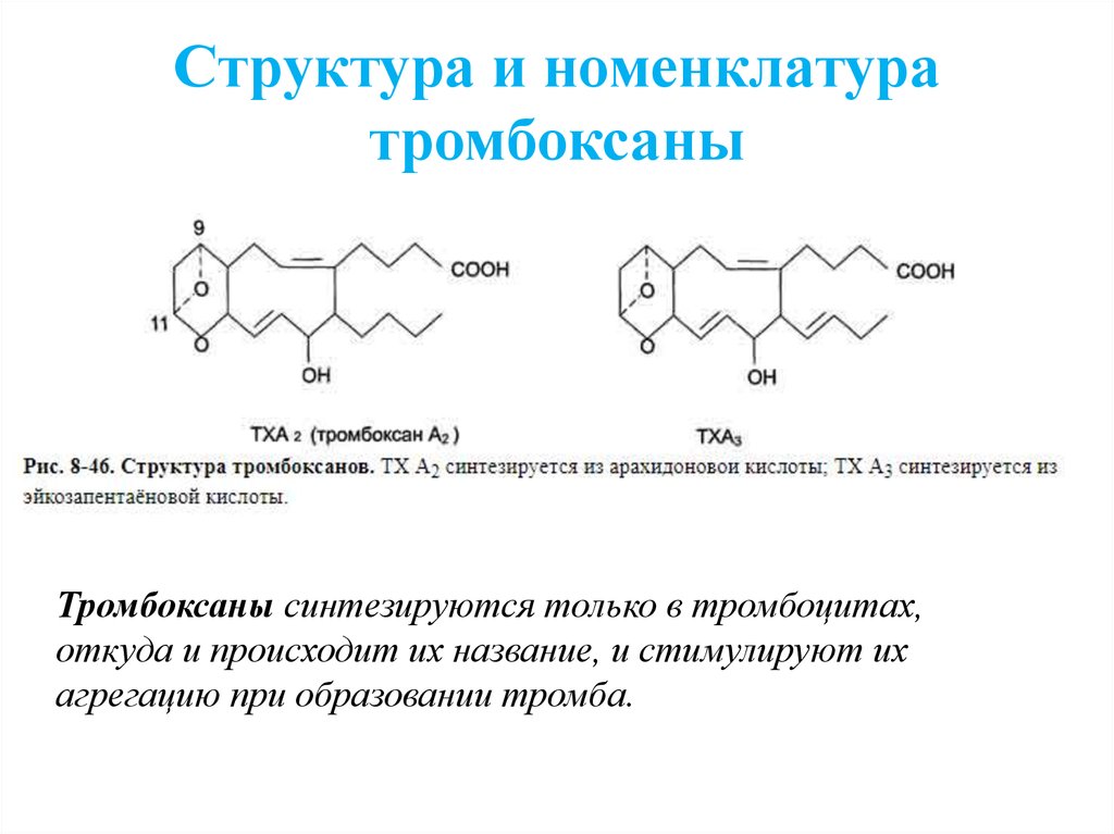 Эйкозаноиды биохимия презентация