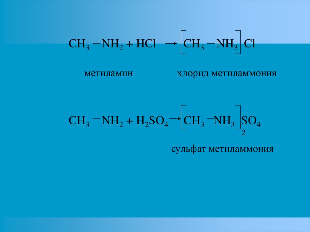 CH3 NH2 + HCl CH3 NH3 Cl метиламин хлорид метиламмония CH3 NH2 + H2SO4 CH3 NH3 SO4 2 сульфат метиламмония
