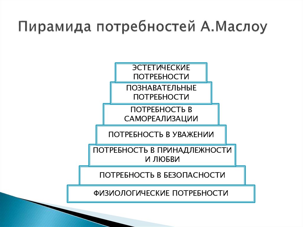 Познавательные потребности