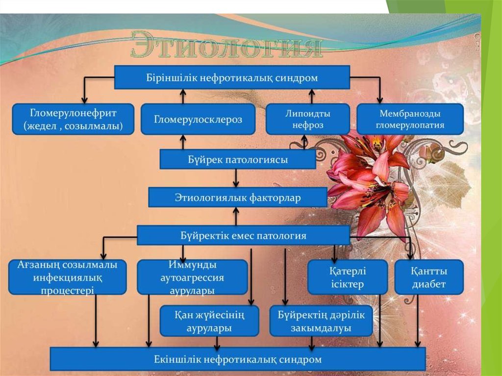 Ісіну синдромы презентация