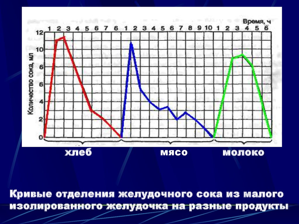 4 нарисуйте кривые желудочной секреции при употреблении основных продуктов мяса хлеба и молока