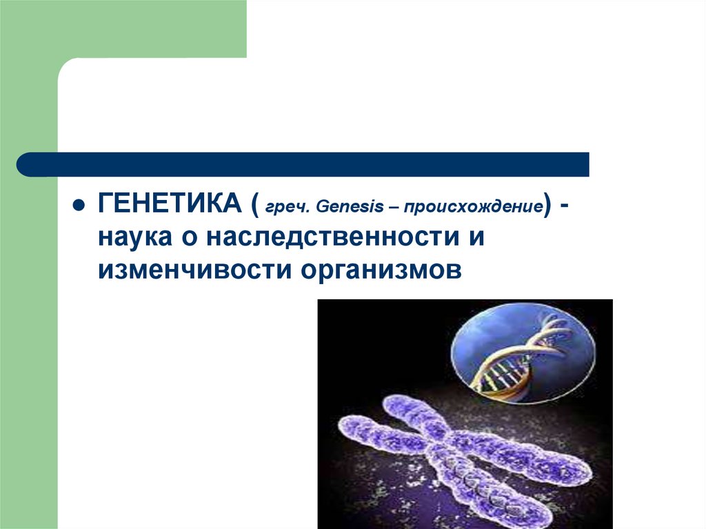 Генетика 9 класс презентация