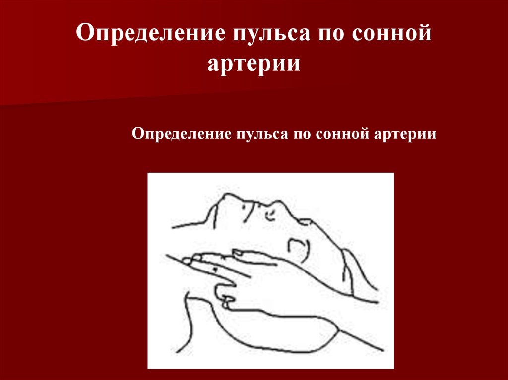 Измерение пульса на руке. Измерение пульса на сонной артерии. Определение пульса по сонной артерии.