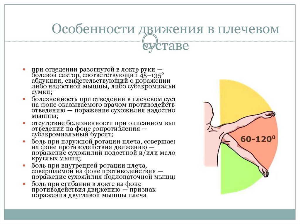 Ротация мобилизованных. Ограничение отведения в плечевом суставе. Внутренняя ротация плечевого сустава. Боль при ротации плеча. Диапазон движения в плечевом суставе.