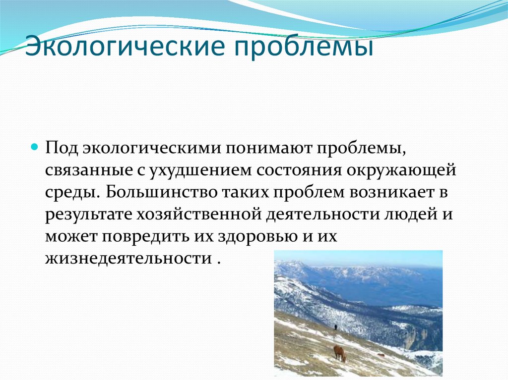 Экологические проблемы