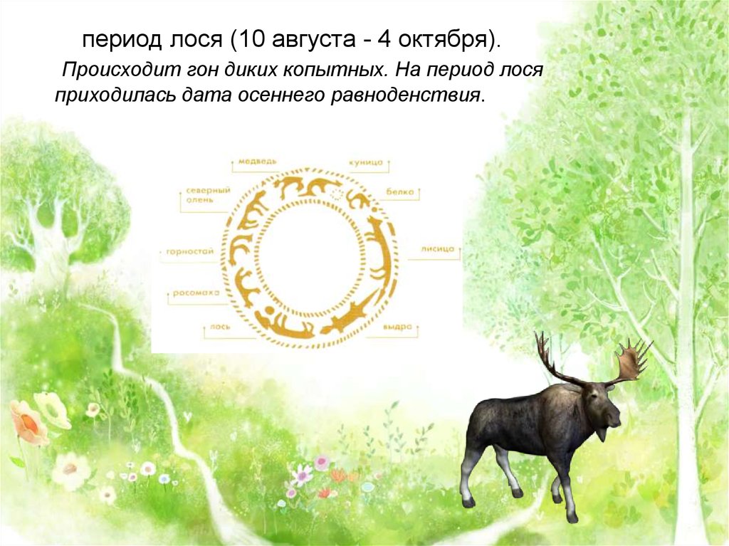 Год темного лося по славянскому календарю картинки. Коми календарь животные. Животные промыслового календаря. Период медведя в промысловом календаре. Медведь на промысловом календаре Коми.