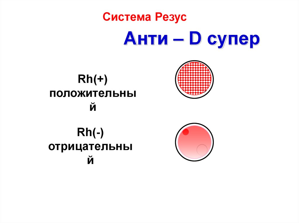 Группа крови резус фактор фенотип