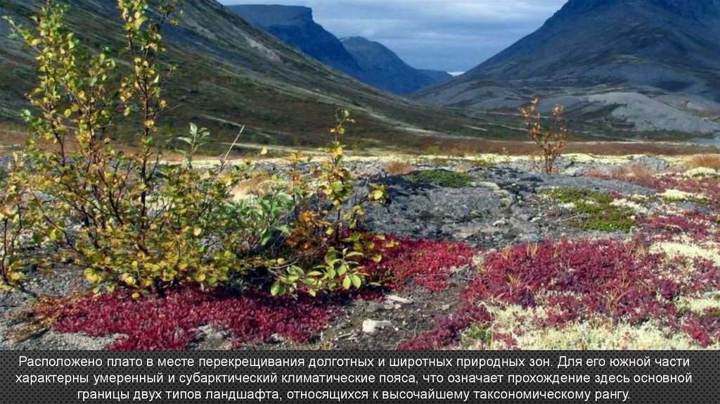 Путоранский заповедник презентация