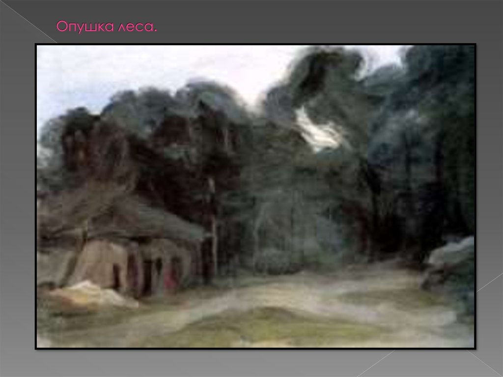Опушка леса.