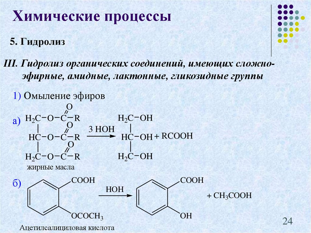 Презентация гидролиз органических веществ