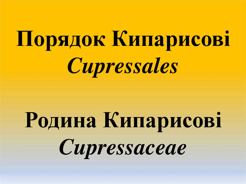 Порядок Кипарисові Cupressales Родина Кипарисові Cupressaceae