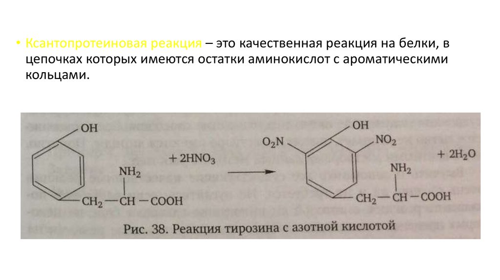 Белок концентрированная азотная кислота. Ксантопротеиновая реакция на тирозин. Ксантопротеиновая реакция белков качественная реакция. Ксантопротеиновая реакция альбумин. Ксантопротеиновая реакция белков формула.