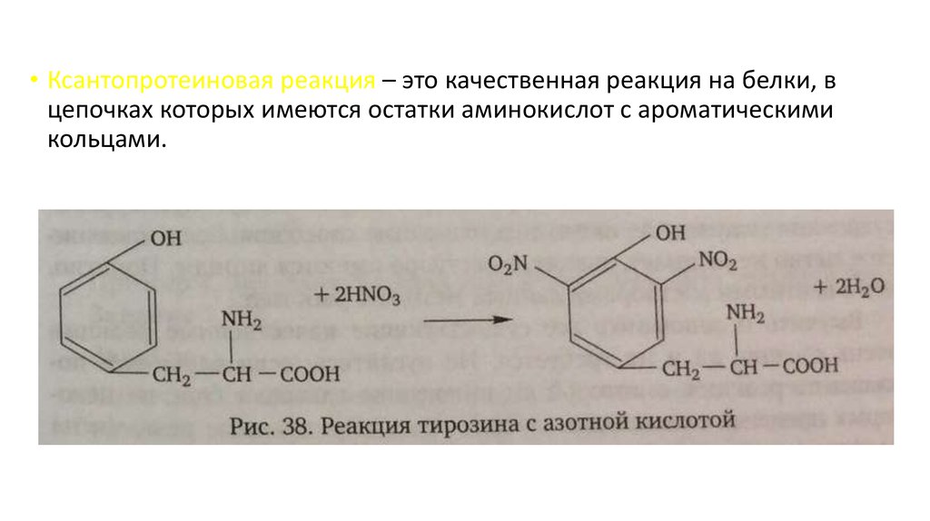 Ксантопротеиновая реакция рисунок