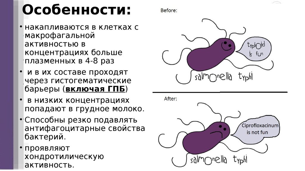 Особенности: