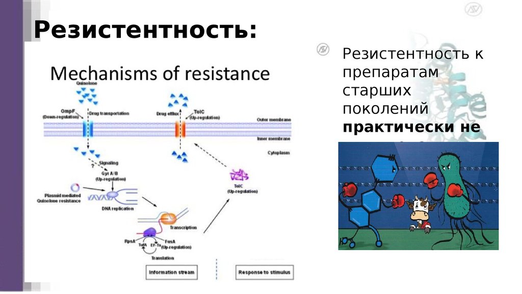 Резистентность: