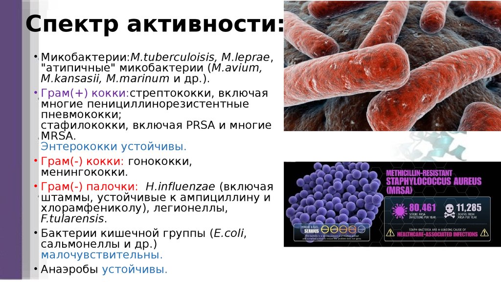 Спектр активности: