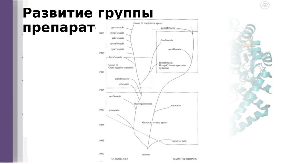 Развитие группы