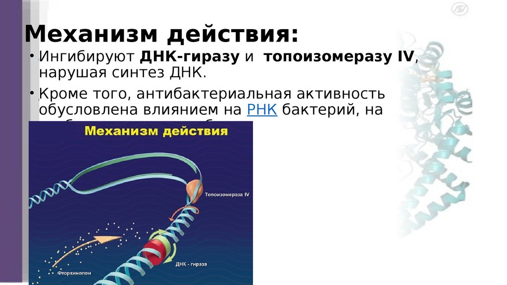 Механизм действия: