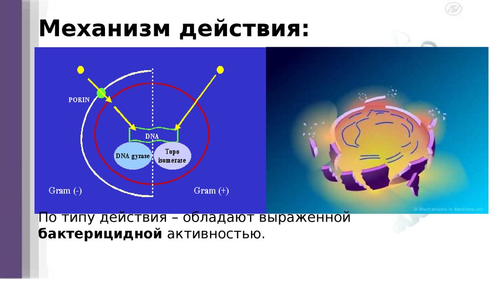 Механизм действия: