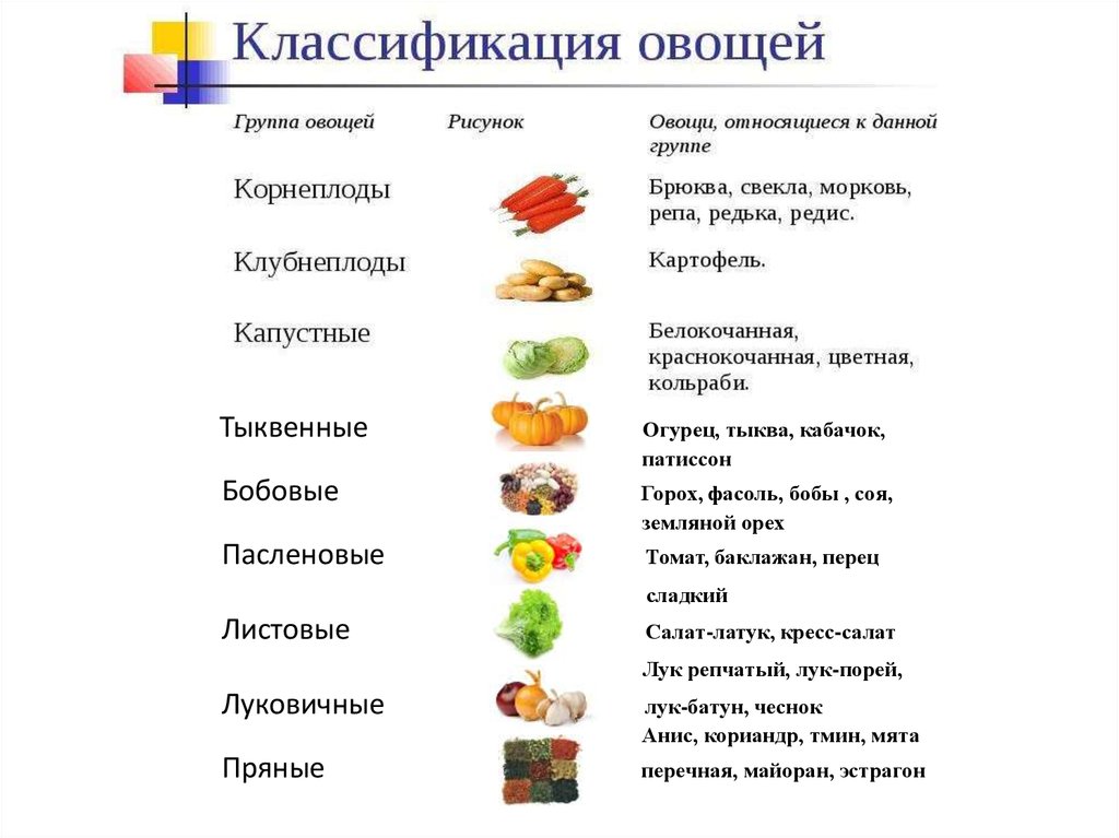 Овощи входящие в группу. Классификация овощей. Классификация овощей по группам. Кулинарная классификация овощей. Классификация овощей 5 класс.