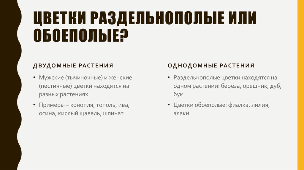 Цветки раздельнополые или обоеполые?