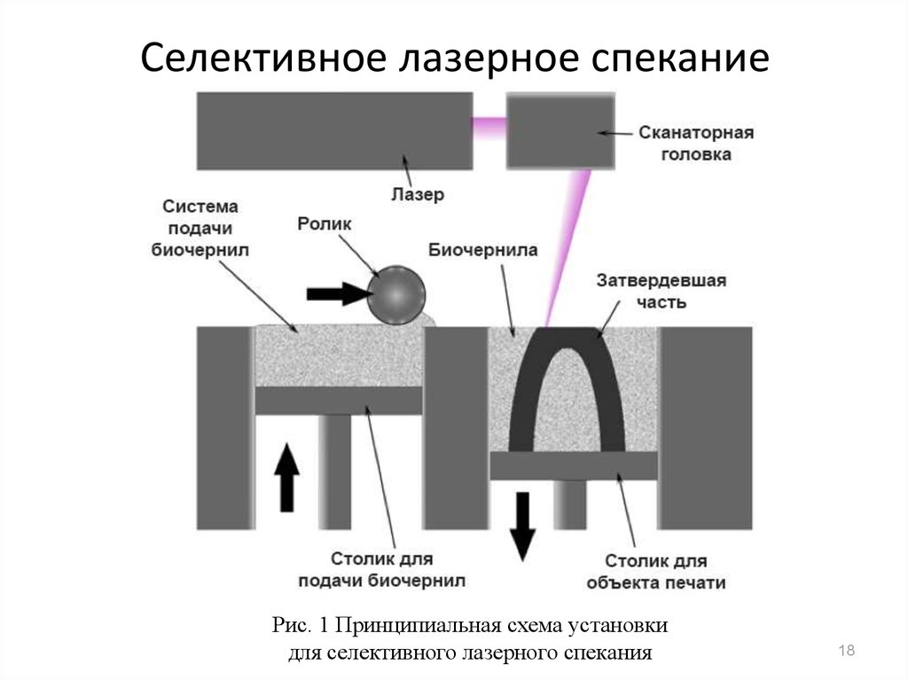 Slm презентация что это