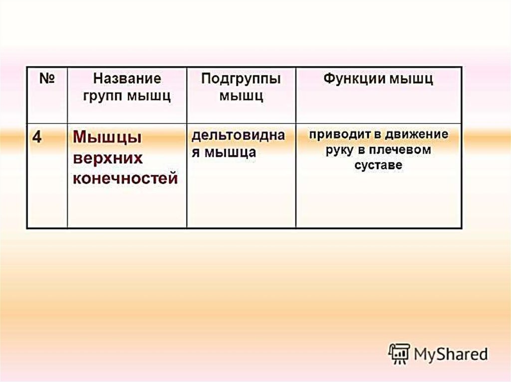 Функции группы. Мышцы название и функции. Строение мышц с названиями и функции. Группы мышц названия функции. Группы мышц по функциям.