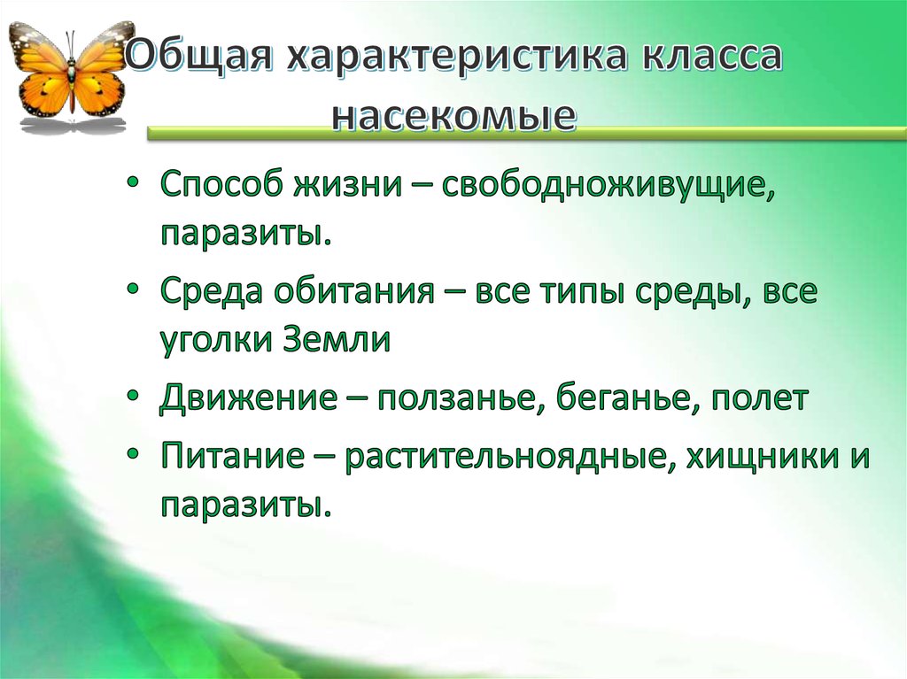 Общая характеристика 7 класса. Класс насекомые общая характеристика 7 класс. Характеристика насекомых 7 класс биология. Общая характеристика насекомых 7 класс кратко. Класс насекомые общая характеристика 8 класс.