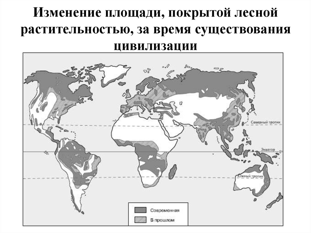 Карта лесов в мире