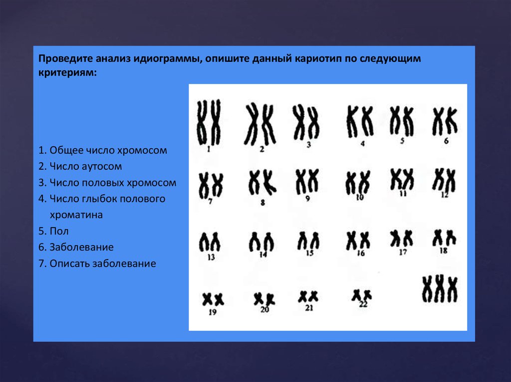 Кариотип человека определяют. Идиограмма кариотипа. Идиограмма хромосом. Идиограмма кариотипа человека. Идиограмма хромосом человека схема.
