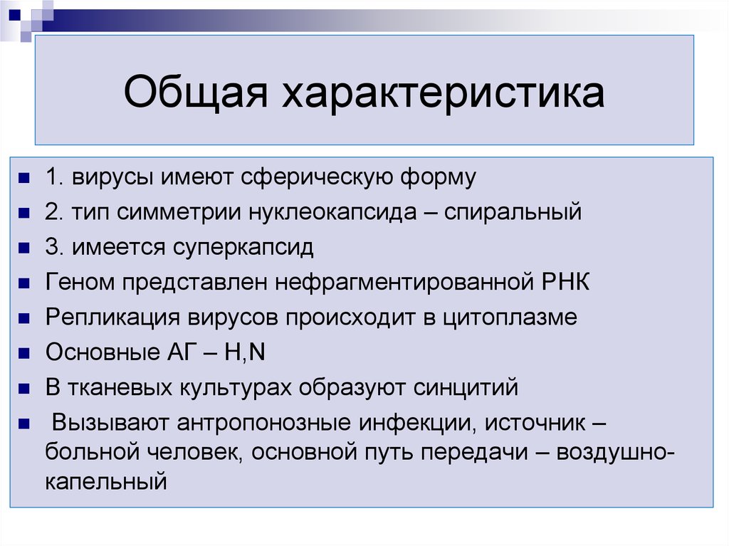 Общая характеристика