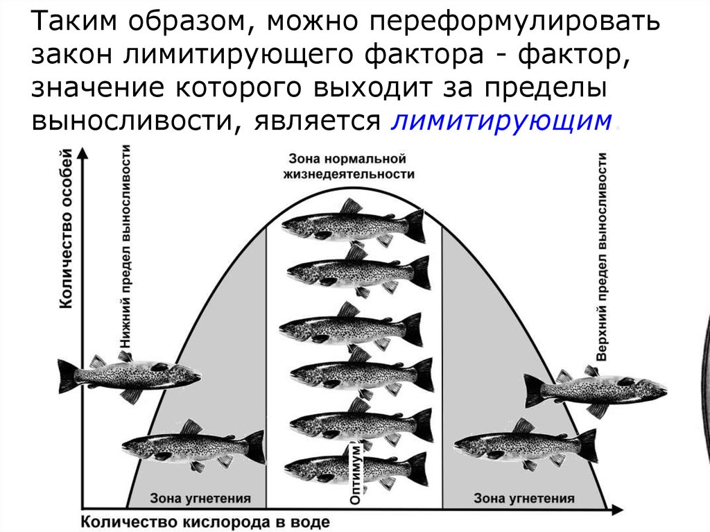 Лимитирующие факторы лесов