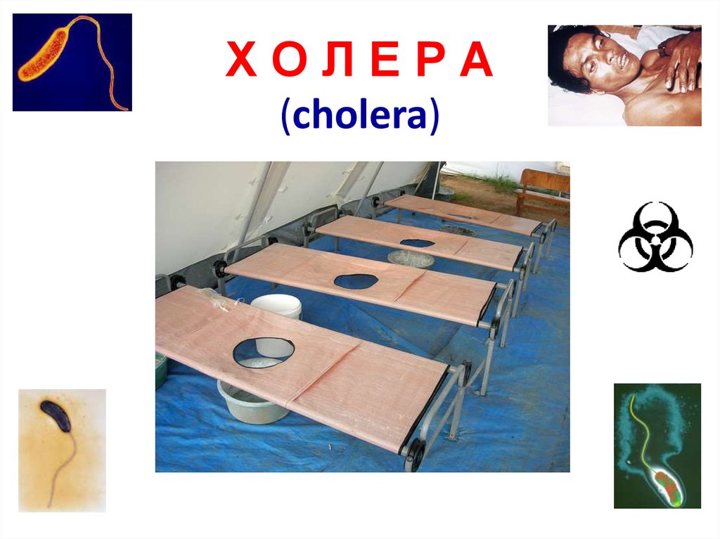 Холера на борту. Кровать для холерного больного.