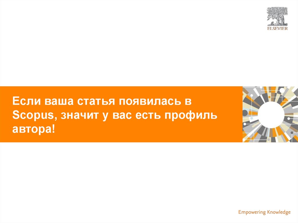 Профиль автора. Единое решение. Профиль организации в Scopus и его корректировка 2021 год. Имеет единое решение.