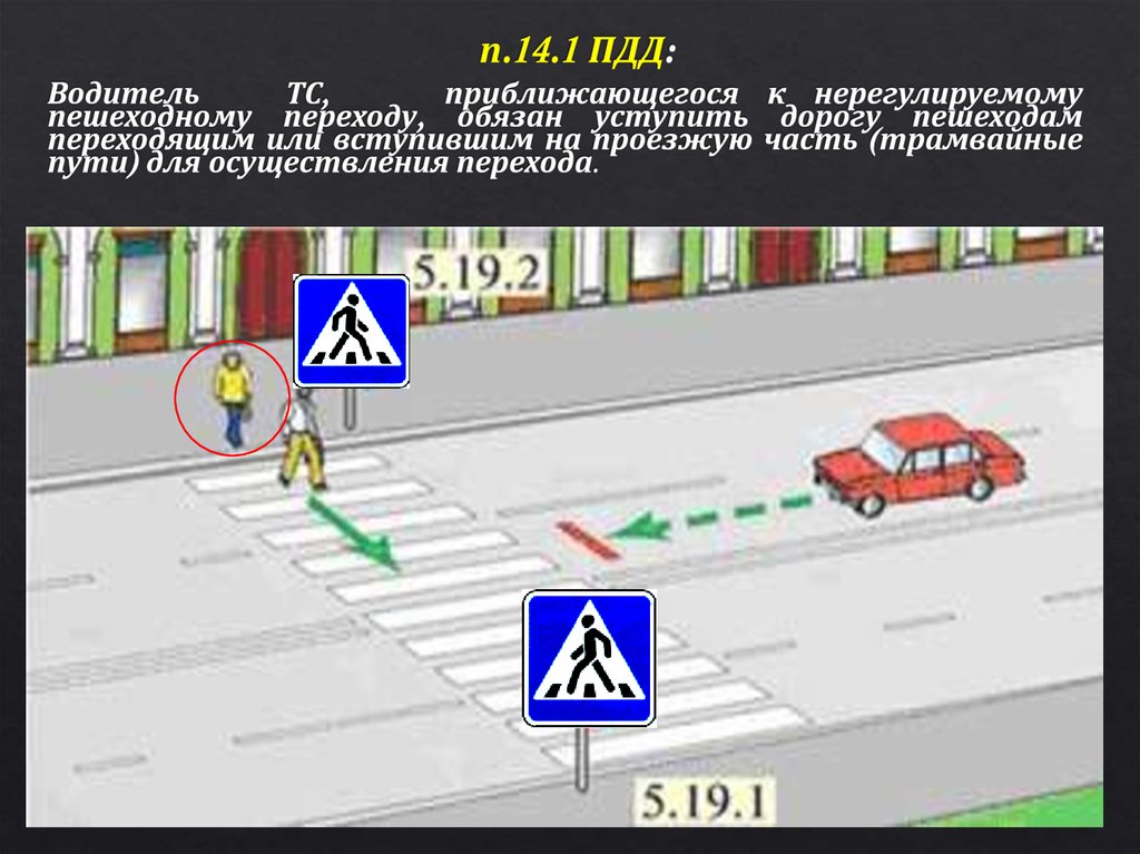 Общие положения пдд презентация