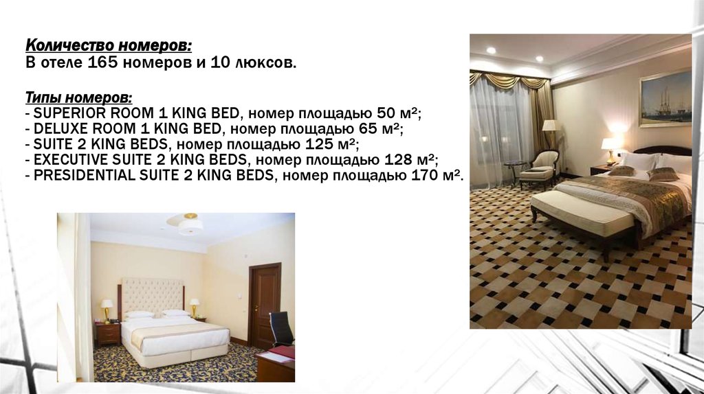 Количество номеров в россии. Типы номеров в гостинице. Категории номеров в отеле.