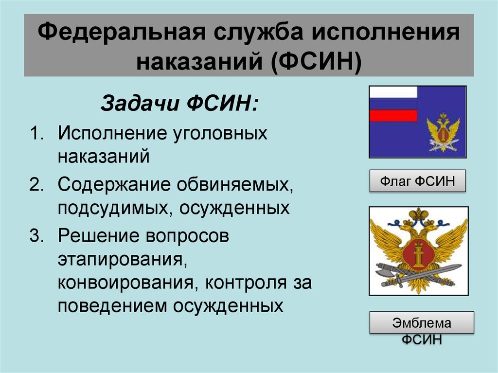 Проект по праву правоохранительные органы рф