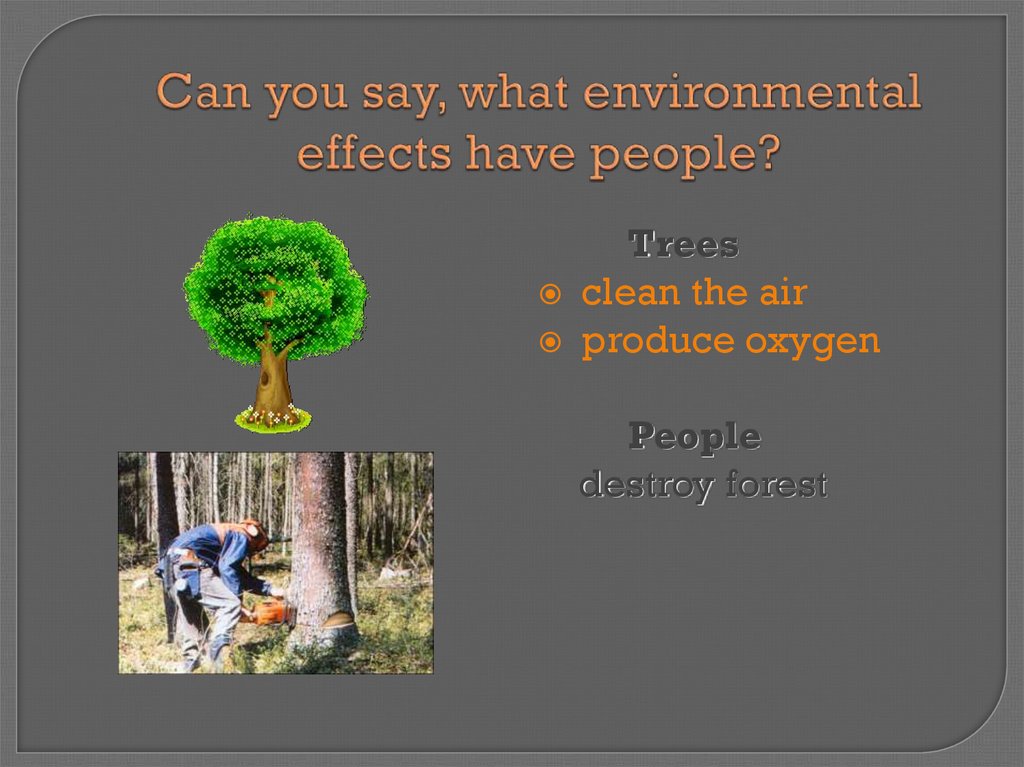 What effects it has. Trees produce Oxygen. Презентация английский destroying Forests. Trees that clean Air. What Environmental topics interest you.