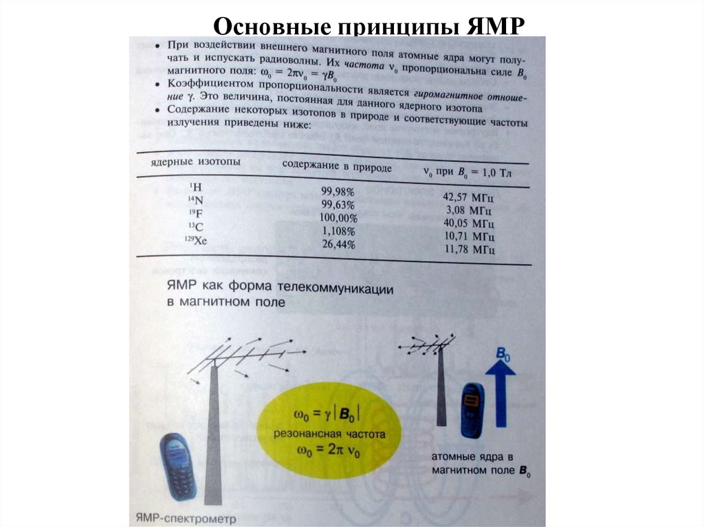 Основные принципы ЯМР
