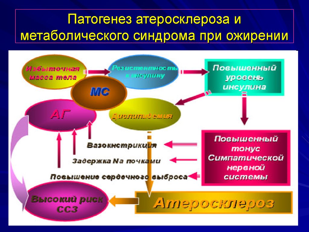 Проявлениями метаболического синдрома являются. Механизм развития метаболического синдрома. Механизм развития метаболического синдрома патофизиология. Патогенез метаболического синдрома схема. Этиология атеросклероза патофизиология.