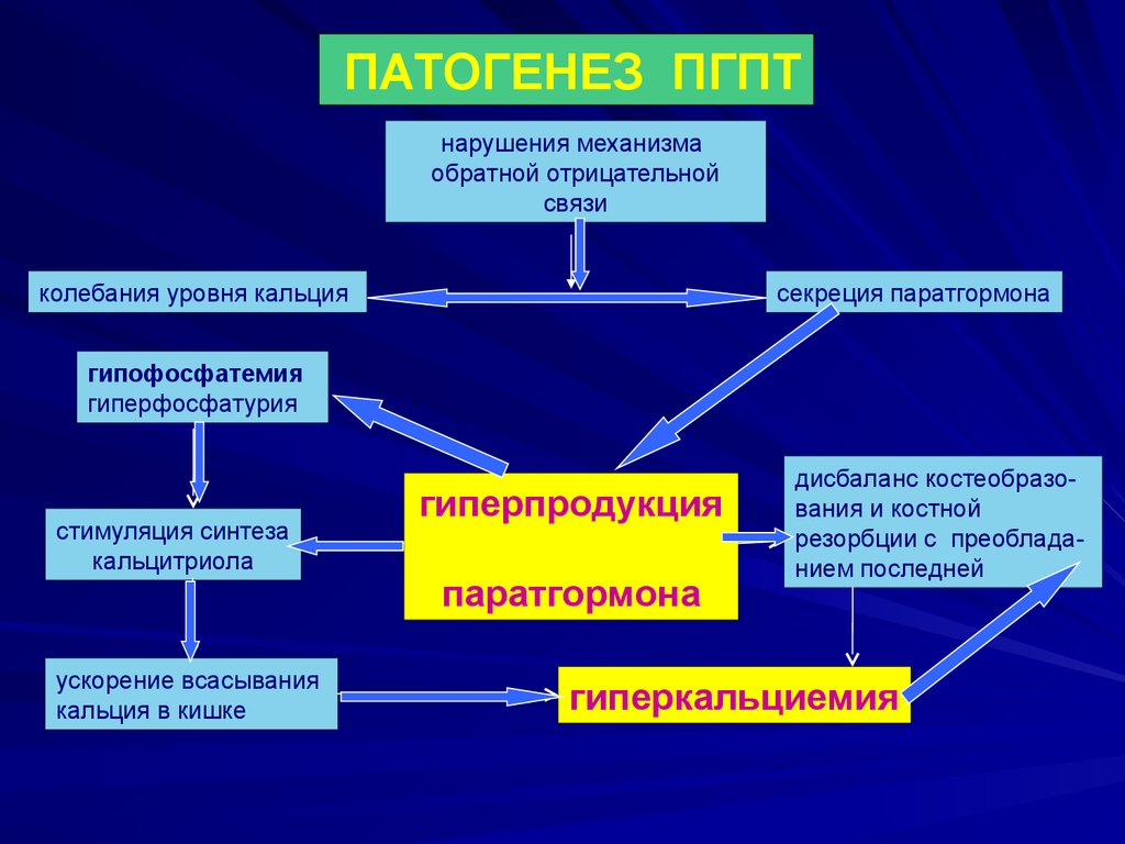 Гиперпаратиреоз патофизиология презентация