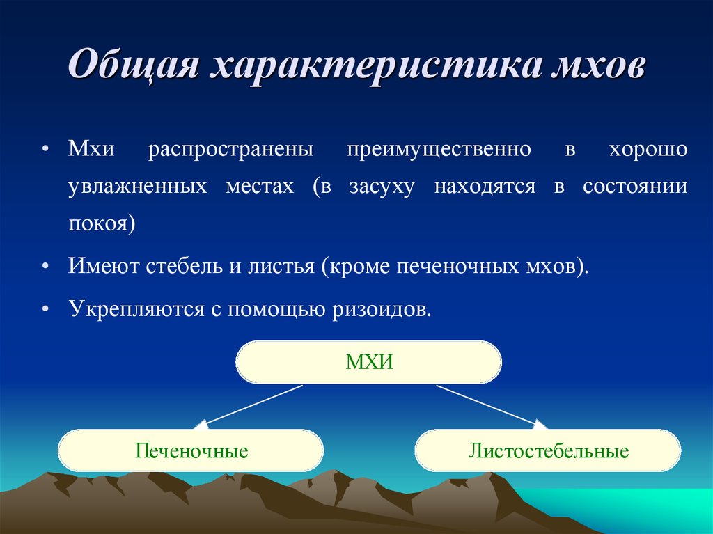 Характеристика мхов. Общая характеристика мхов. Общая характеристика мохообразных. Общая характеристика Мухов. Общая характеристика моховидных.