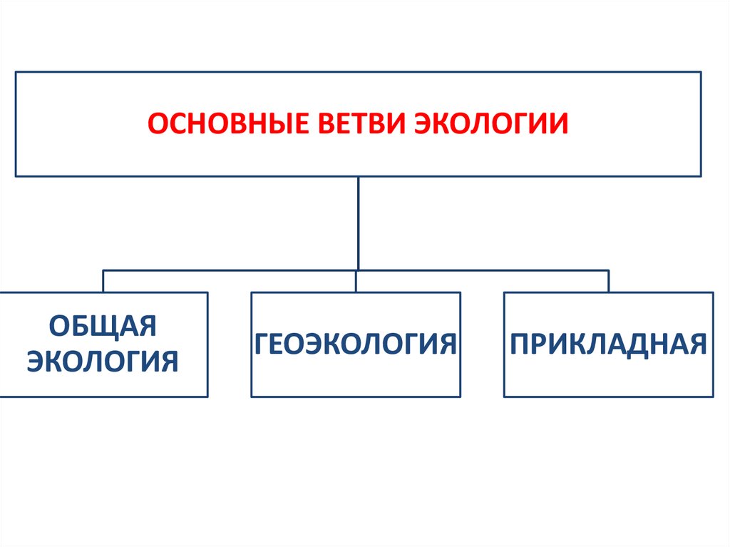 Основная ветка