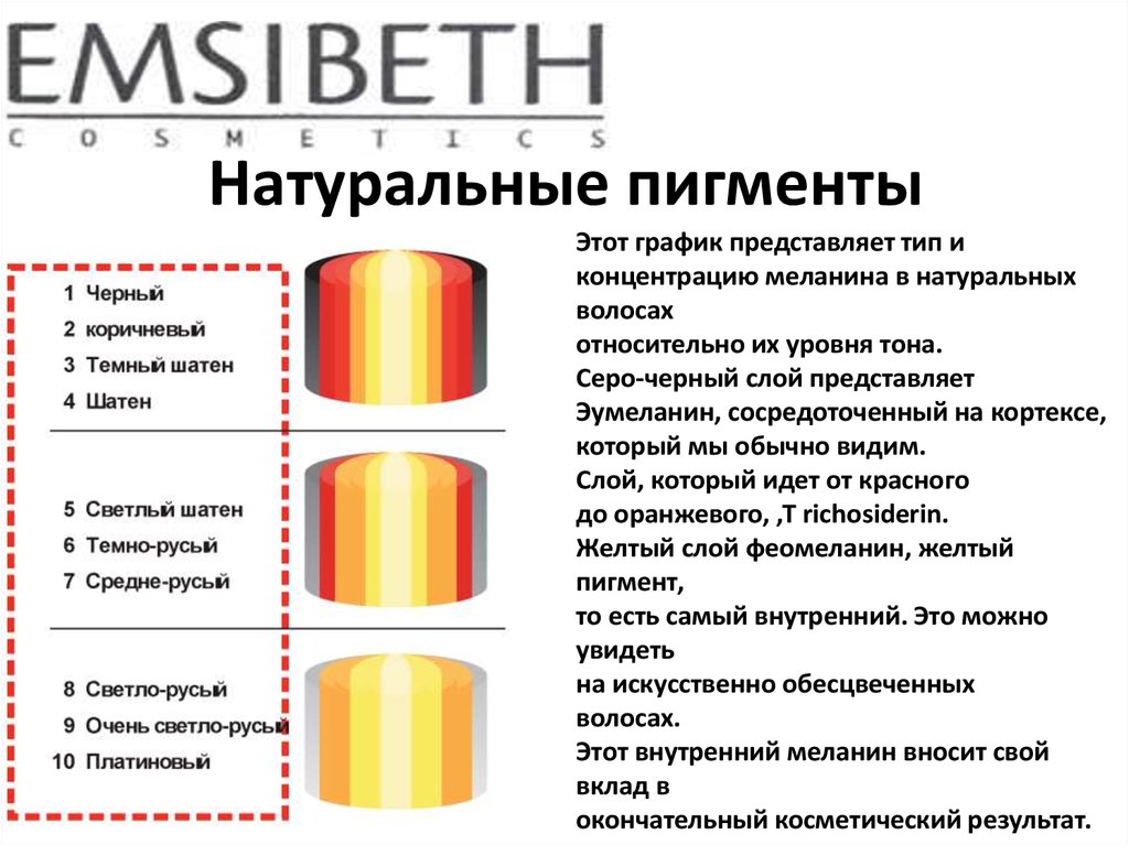 Пигмент меланин в каком слое. Пигменты меланина в волосах схема. Эумеланин и феомеланин пигмент волоса. Фон осветления волос таблица. Структура обесцвеченного волоса.