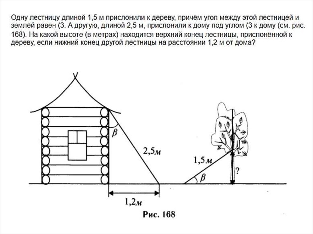 Участки равное. Лестница длинной 2.5 м прислонили к дереву. Реальная математика 2 класс. Лестницу прислонили к дереву задача геометрия. Реальная математика с рельсами 5 класс.